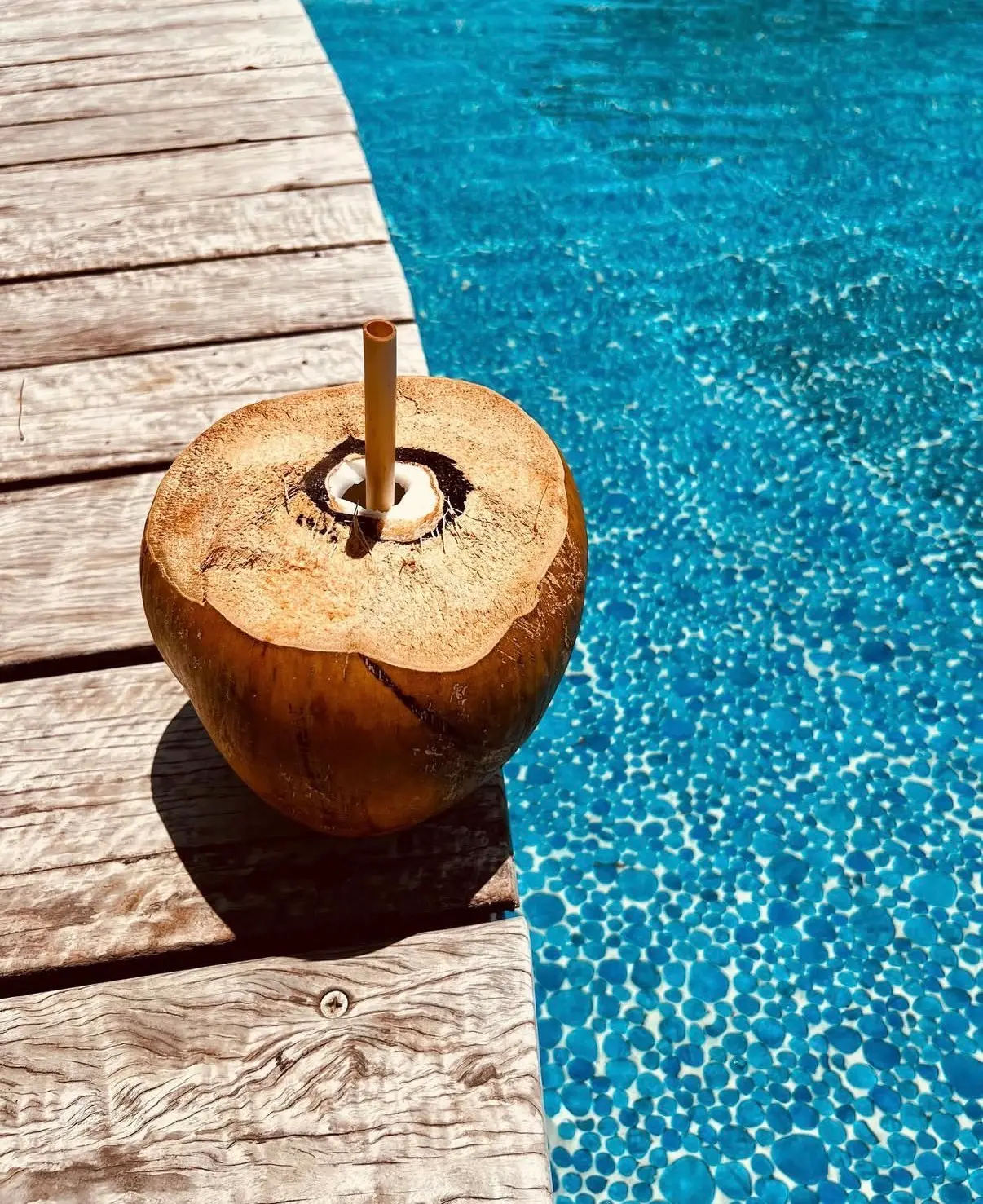 Coconut palms and pool at Selva Terra