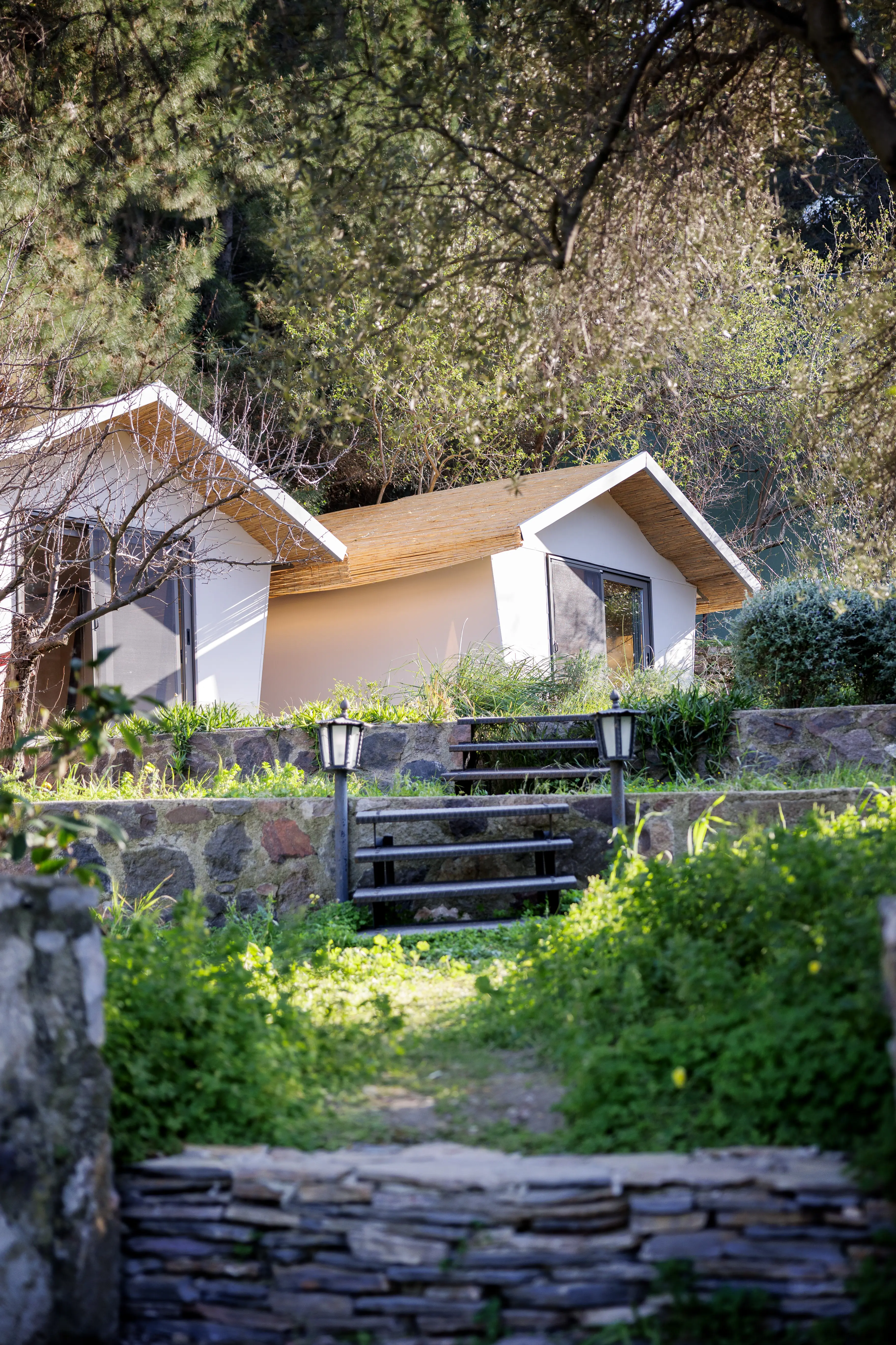 Glamping cabins on the hillside with stone steps and greenery