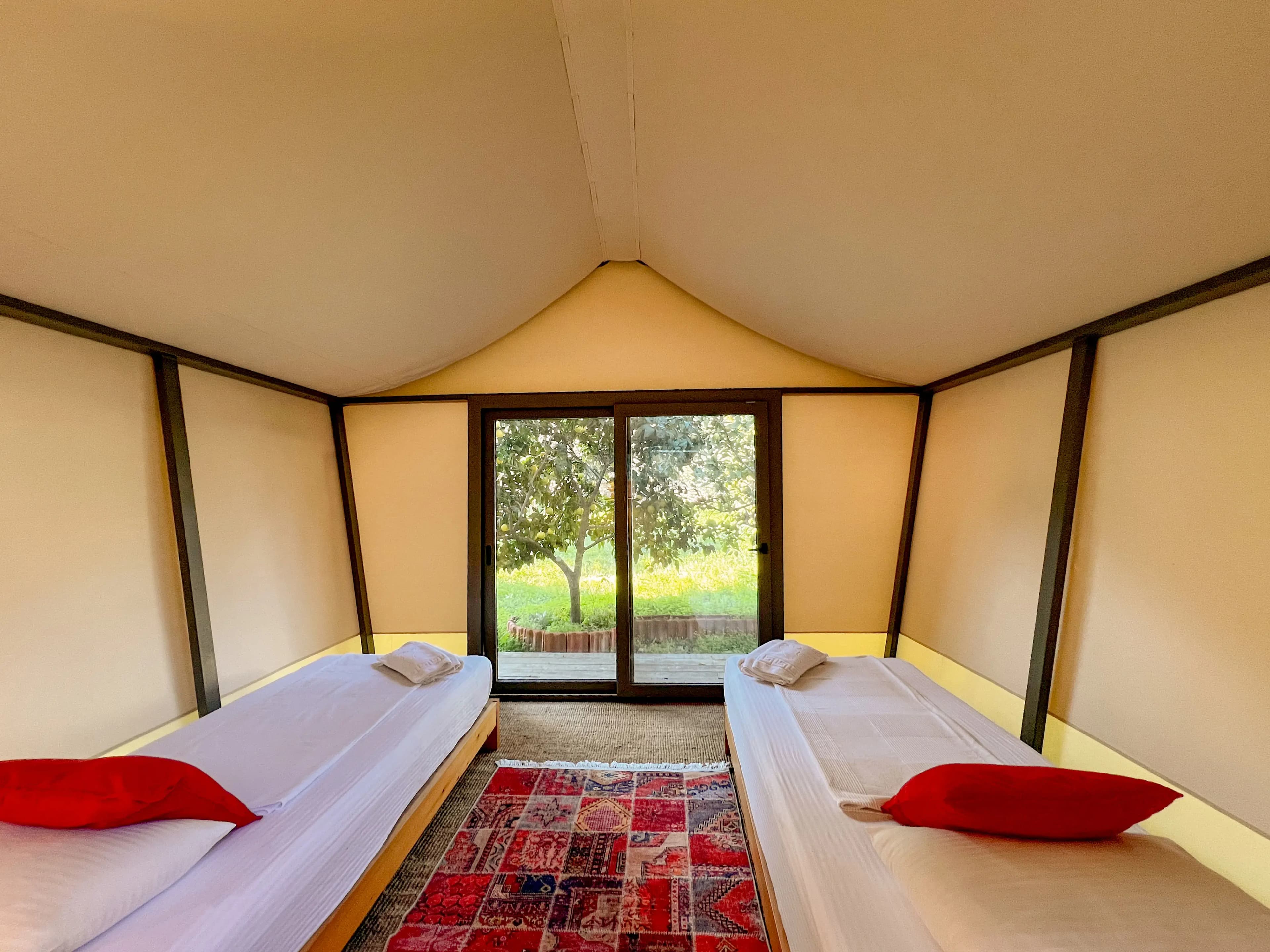 Glamping tent with twin beds and doors open to the olive grove