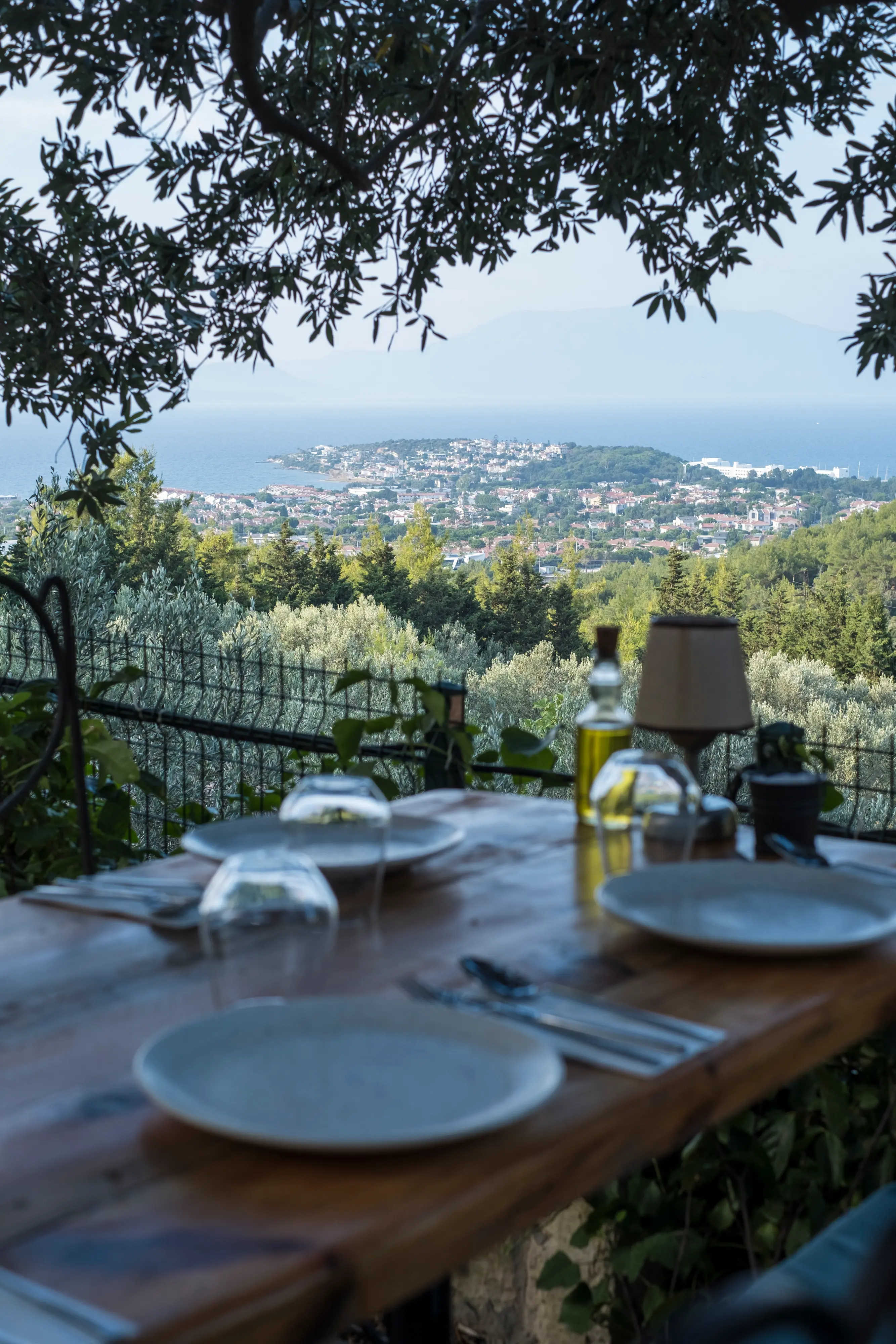 An outdoor table set under olive branches at Çeşmeköy, looking over Cesme bay and the Aegean Sea